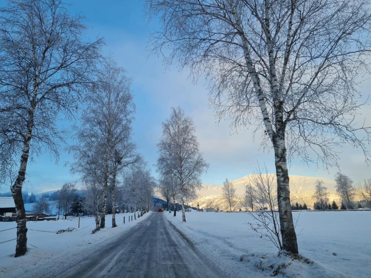 Appartamento Palfengut Altenmarkt im Pongau Esterno foto