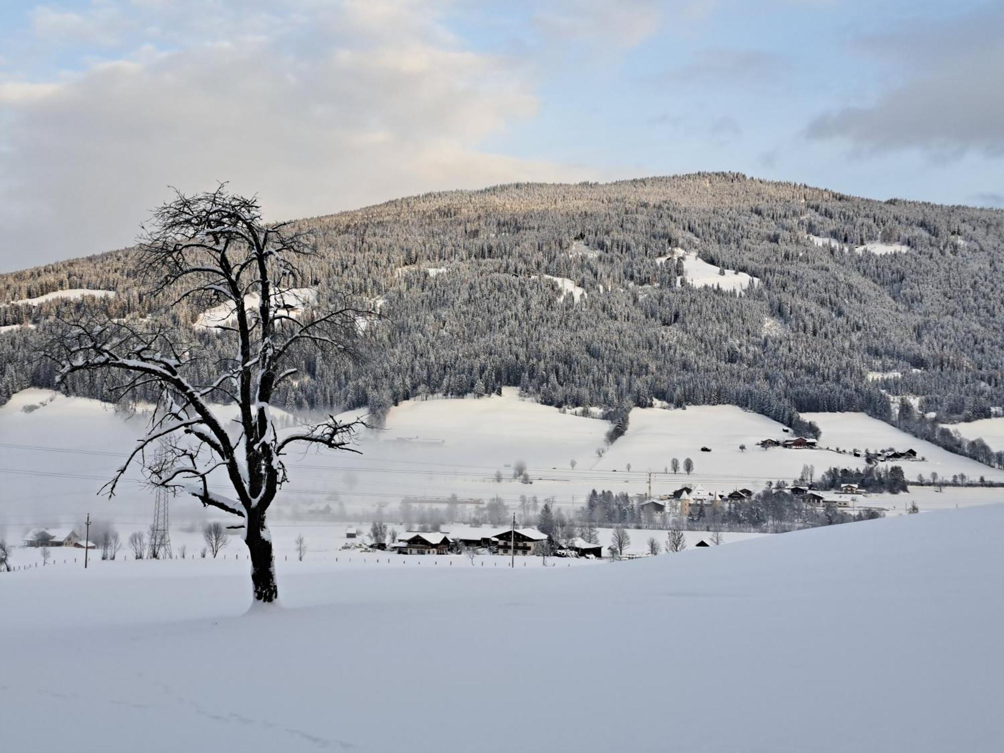 Appartamento Palfengut Altenmarkt im Pongau Esterno foto